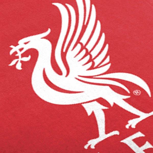 Liverpool FC Pulse Towel, Bedroom, Sports, Gift