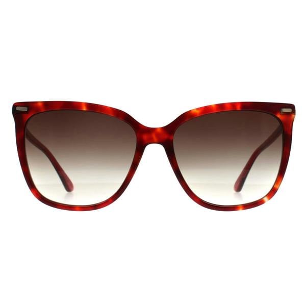 Calvin Klein Sunglasses CK22532S 609 Burgundy Havana Brown Gradient