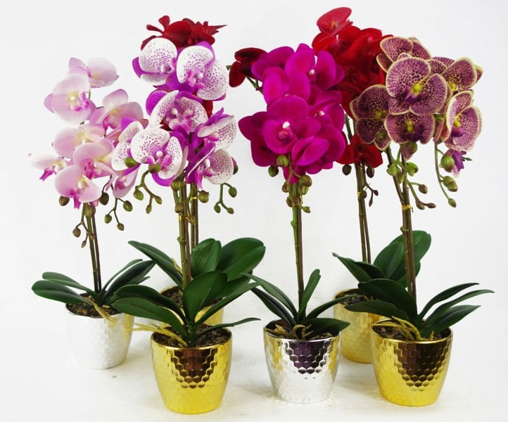 Leaf 50cm Phalaenopsis Orchid Artificial - Red Leopard - Gold Pot