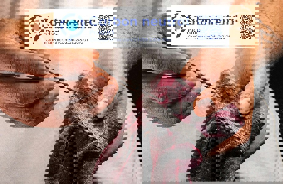 Titanium Toothpick With a Keyring - aZengear