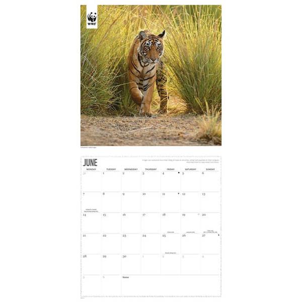WWF, Tigers Calendar 2027, Wall Calendars, Month To View, Animals, Gift
