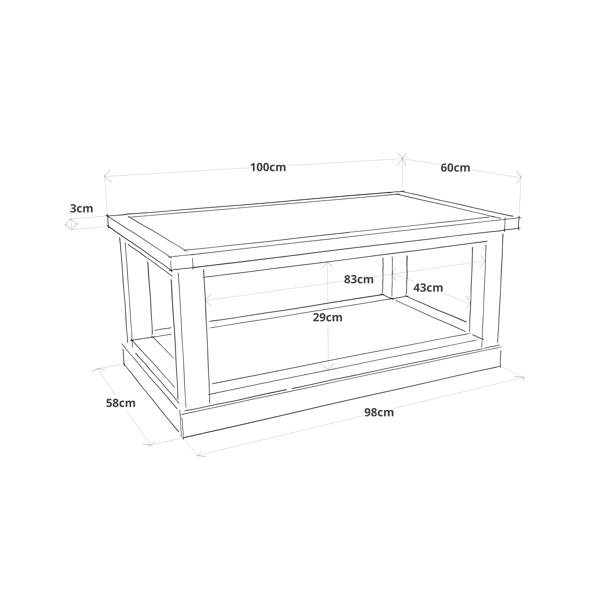 Cabinet Bits Coffee Table with Shelf - H45 W100 D60cm