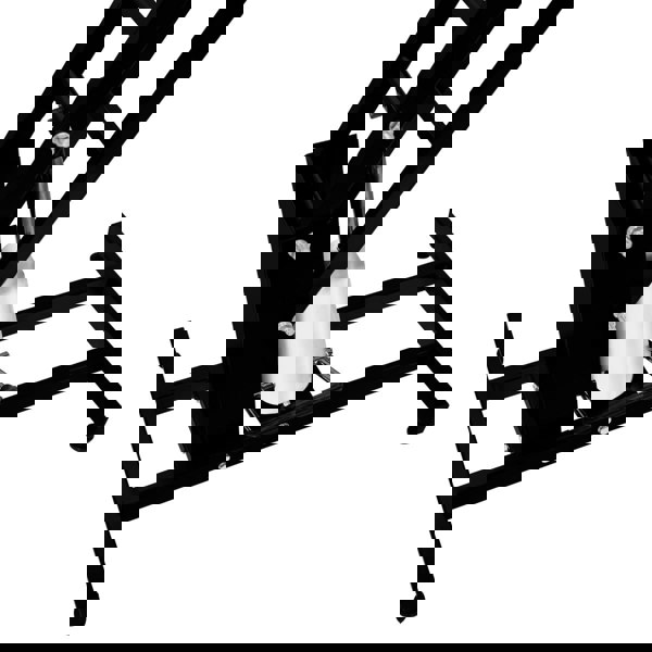 Monstershop Black Hydraulic Grooming Table - Black Table Top