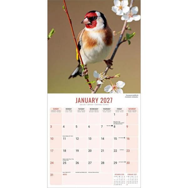 Garden Birds Calendar 2027, Wall Calendars, Month To View, Animals, Gift