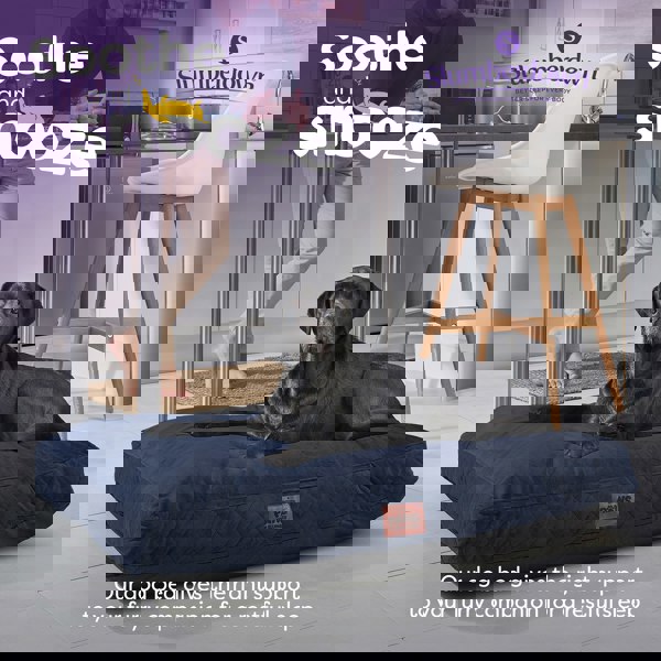 Paws for Slumber Padded Pet Bed, Blue, Extra Large