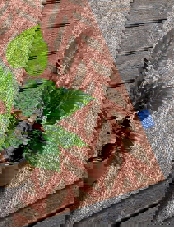 The Rugs Indoor-Outdoor Chevron Design Rug