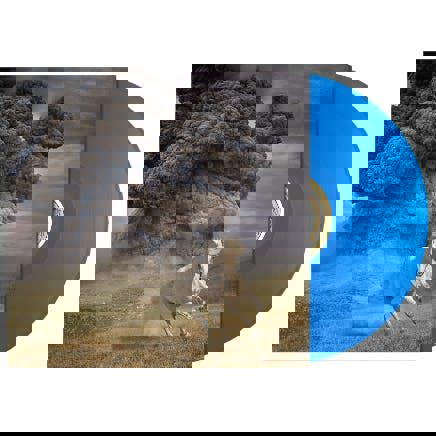 The White Buffalo - 'Year Of The Dark Horse' LP Transparent Blue Vinyl