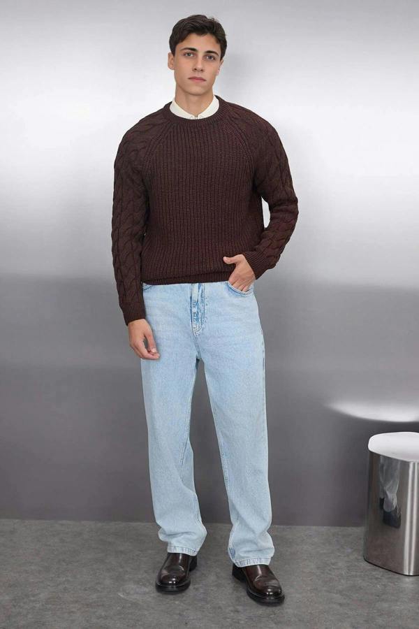 WOVCOR Regular Fit Woolen Crew Neck Knit Men's Sweater with Hair Knitting Detail
