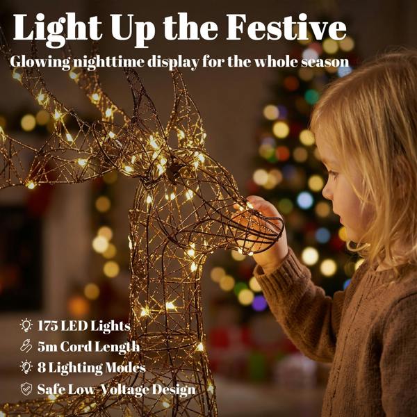 Lighted Christmas Decoration