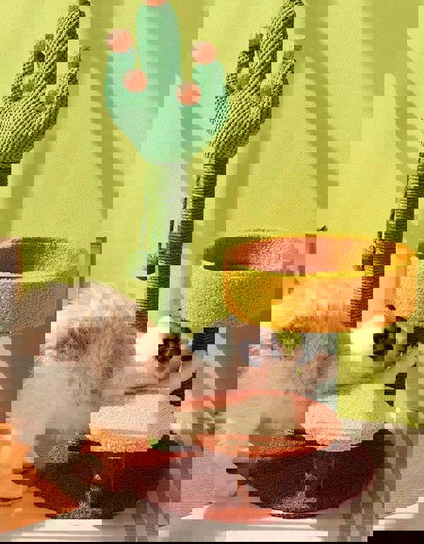 Ola's Cactus with Bed, Cat Toy, Climbing tree-Weilai concept-Weilai Concept