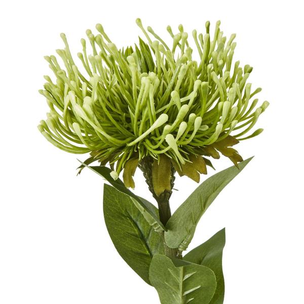 Wyld Haus Set of 3 Artificial Flowers Green Protea Lorea Stems