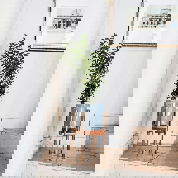#color_warm-grey
