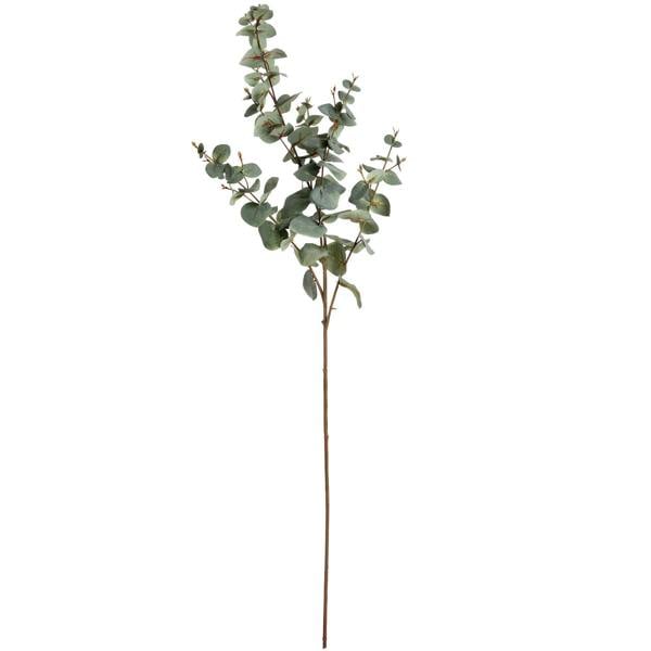 Wyld Haus Set of 3 Artificial Flowers Variegated Eucalyptus Stems