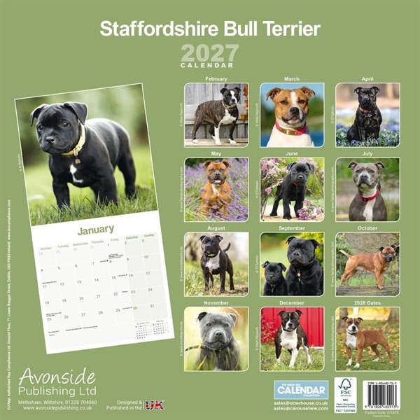 Staffordshire Bull Terrier Calendar 2027, Wall Calendars, Month To View, Dogs, Gift