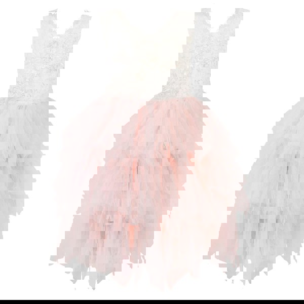 Boho Dreams Dress - Blush Appliqué - UK Flower Girl Boutique