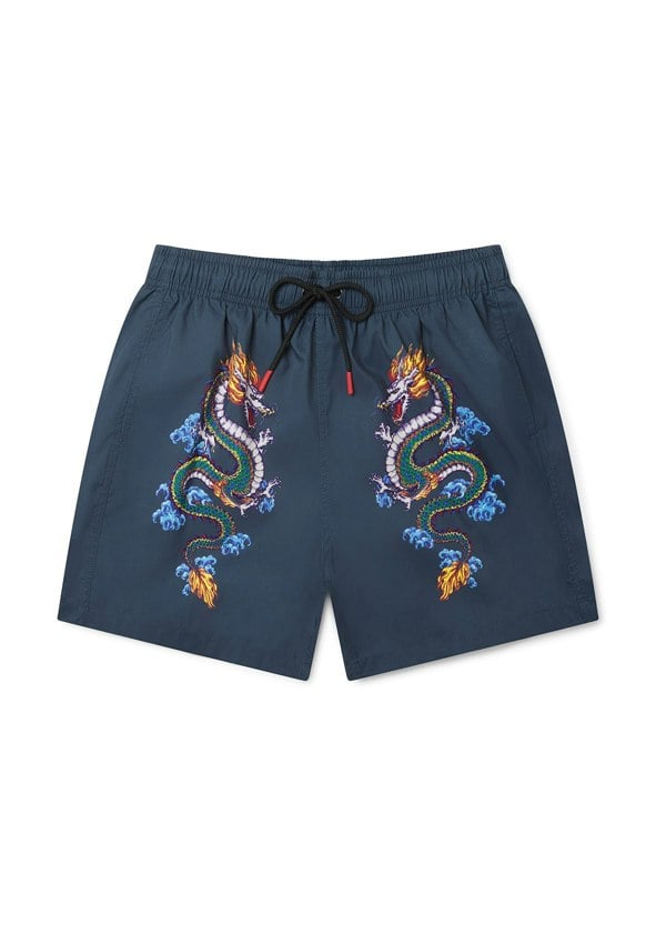 BOARDIES Shenlong
