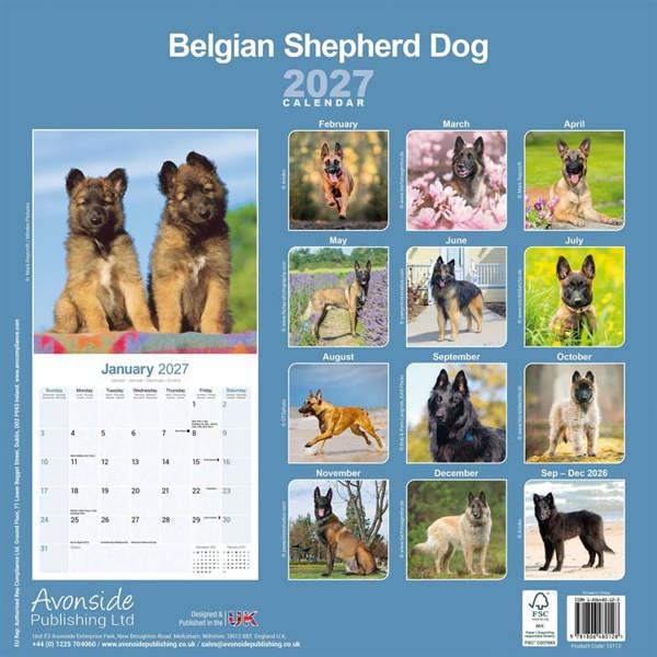 Belgian Shepherd Dog Calendar 2027, Wall Calendars, Month To View, Dogs, Gift