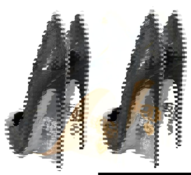 155581072.jpg