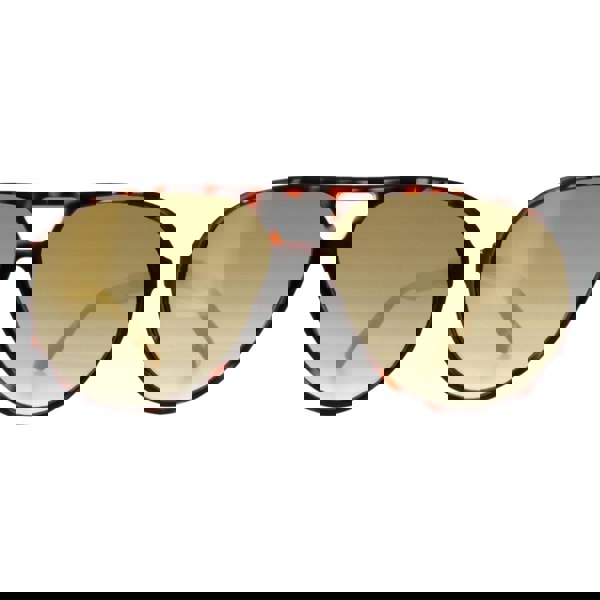 Guess Brown Lens Dark Havana Brown Sunglasses