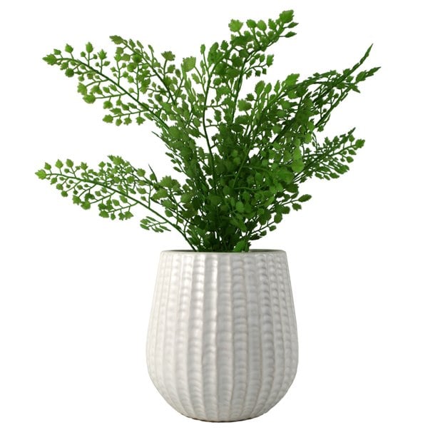 Leaf 16cm White Ceramic Planter