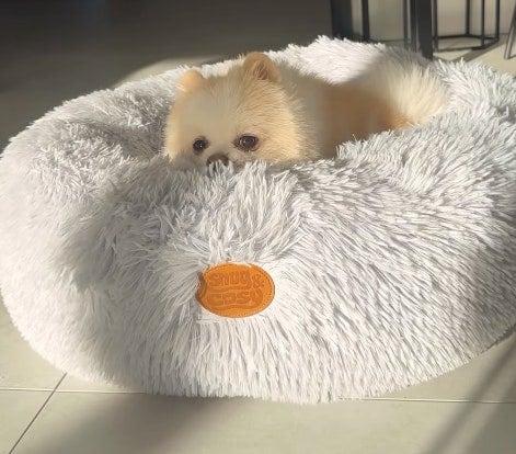 Snug and Cosy Pets Anti Anxiety Donut Pet Bed