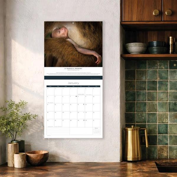 Wildlife Photographer Of The Year Calendar 2027, Wall Calendars, Month To View, Animals, Gift