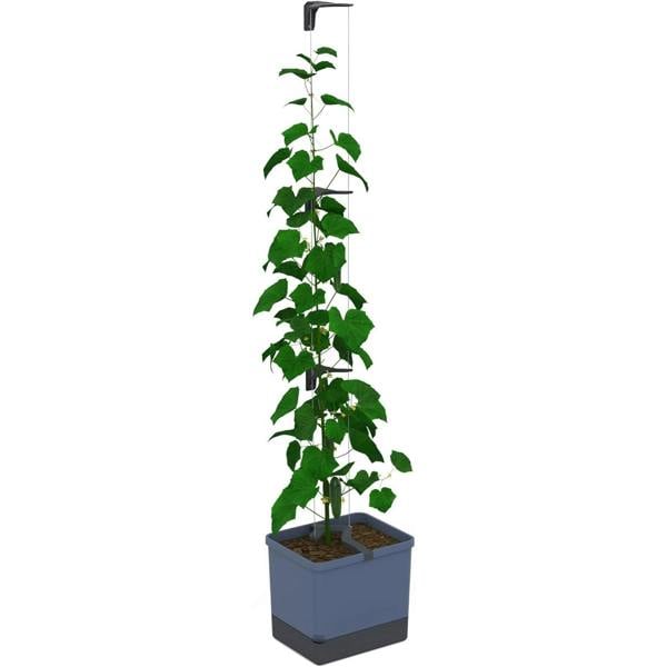 CURT CUCUMBER cucumber planter with water tank - Blue