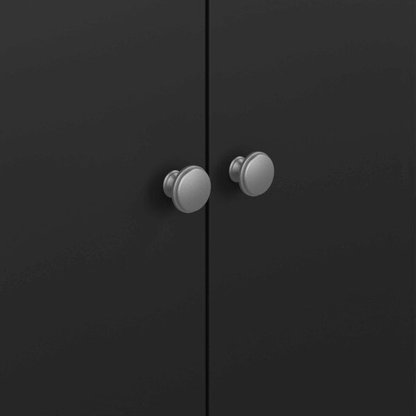Wyld Haus Gossmere Matt Black Wardrobe 2 Doors