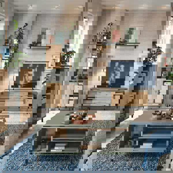 Furniture To Go Darwin TV Cabinet 1 Door 50cm High in Green/Oak