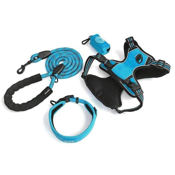 DRYBONES Dog Collar