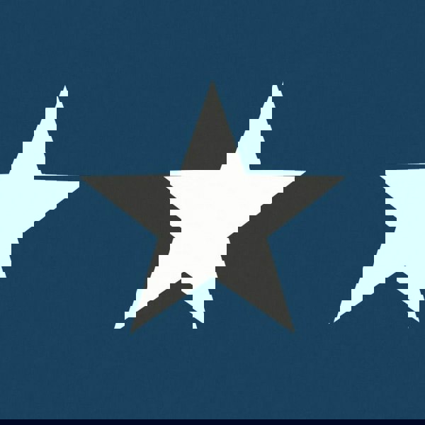 World of Wallpaper Star Wallpaper - Navy/White