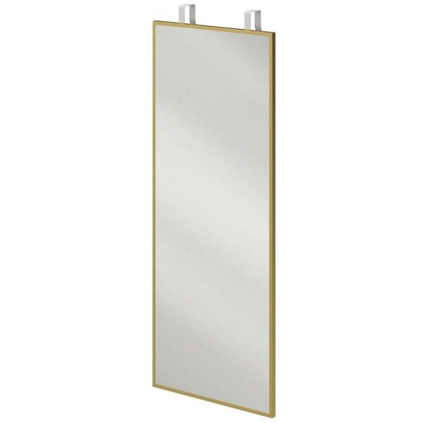 Bobobiy 40 x 110 cm Full Length Wall Mirror, Rectangular Mirror with Adjustable Hooks, Over the Door or Wall Mounted, Gold Tone