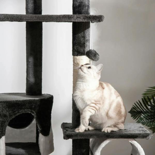 White cat perched on a dark plush platform of an indoor cat tree tower