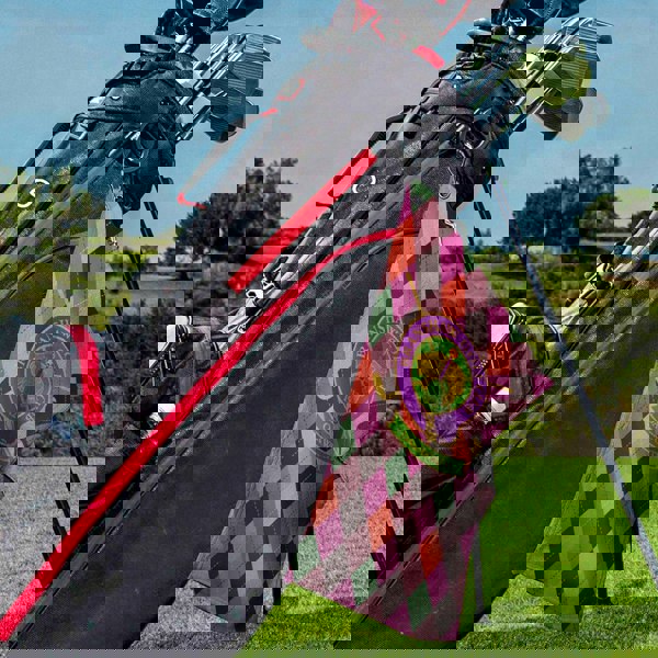 a bag of golf clubs and a bag of golf clubs