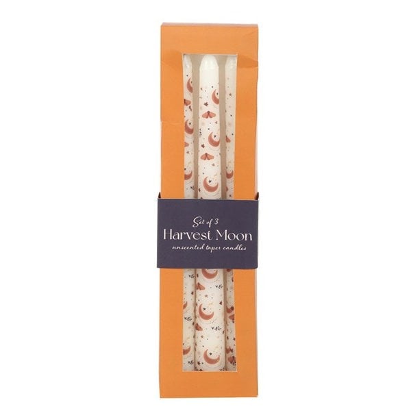 Serano Set of 3 Harvest Moon Taper Candles