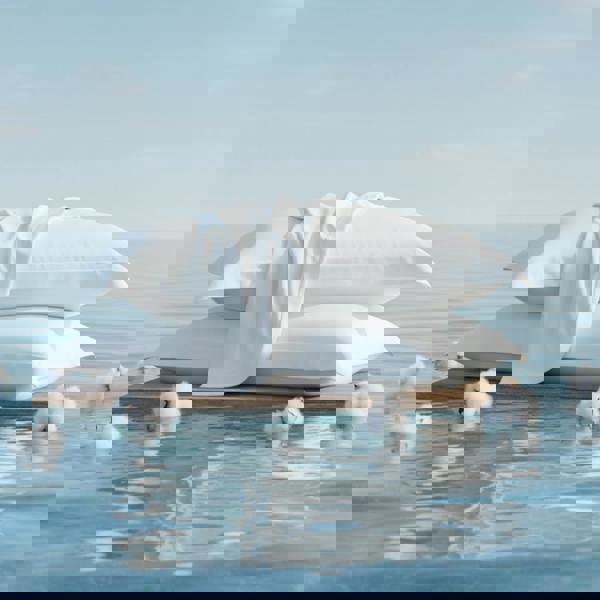 Ethical Bedding Sleepyhead Pillow Set (Organic Cotton Satin)