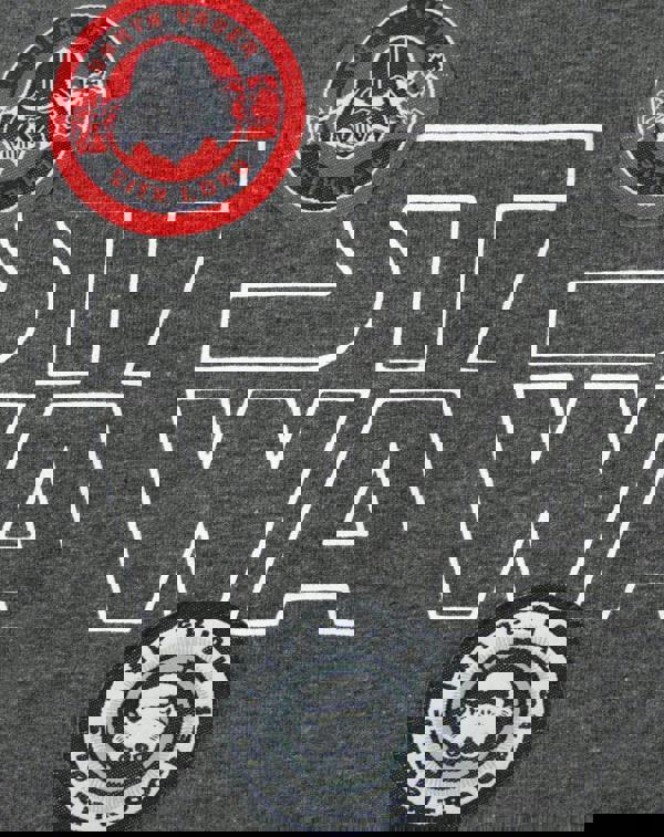 Star Wars Womens Grey Badges Short Sleeved T-Shirt