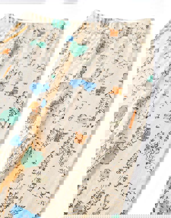 Gruffalo & Friends Unisex Kids Multicoloured Front Print Long Sleeve Long Leg Pyjama Set