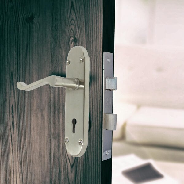 EDH Door Hardware Epsom Satin Nickel Internal Door Handle Set on 170mm Back Plate