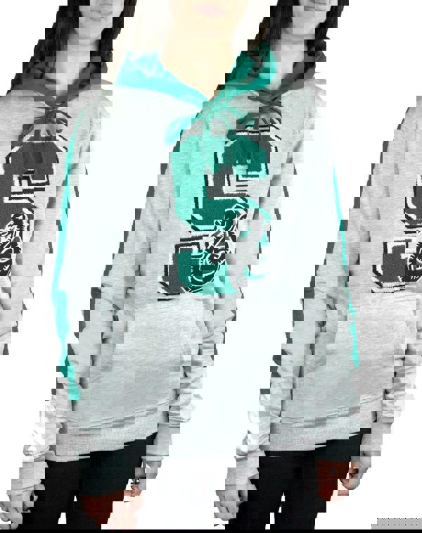 Harry Potter Unisex Grey Slytherin Hoodie