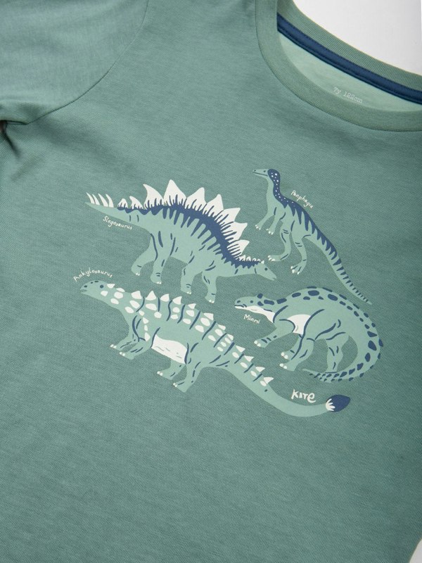 Kite Boys Organic Veggie Dinos T-Shirt