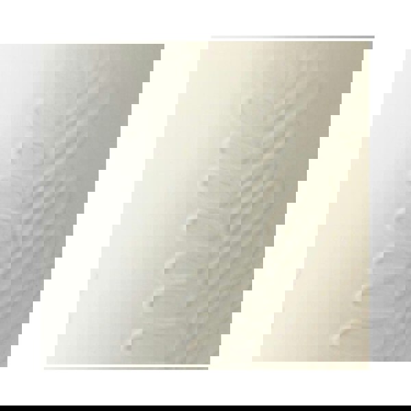 #color_ivory