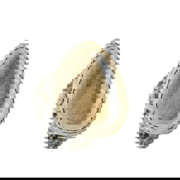 Small Adorable Squirrel And Nut Design Stonecast Bird Bath