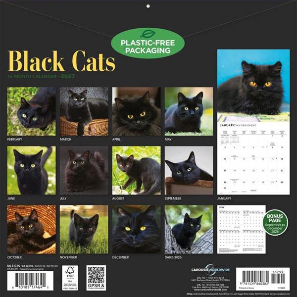 Black Cats Calendar 2027, Wall Calendars, Month To View, Cats, Gift