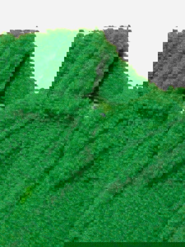 STANDSTUDIO_C90048_3