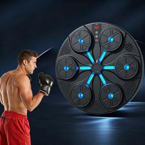 Leaper Bluetooth Music Punching Bag