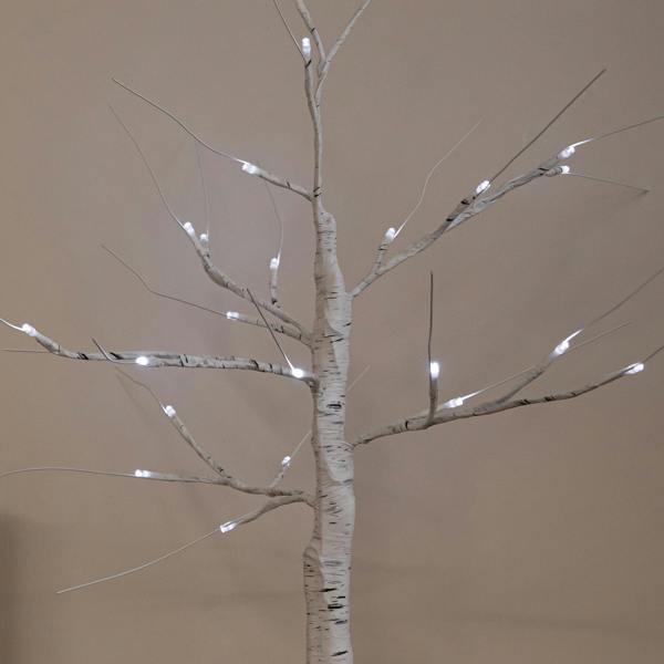 Samuel Alexander 60cm Battery Powered Light Up Christmas Birch Tree with 24 White LEDs