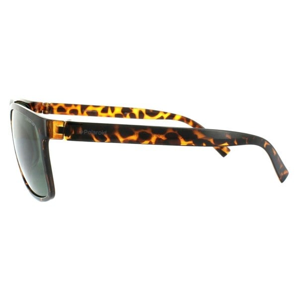 Polaroid Sunglasses 3010/S V08 H8 Havana Green Polarized