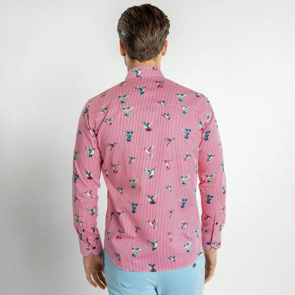 HUMMINGBIRD STRIPED PRINT SHIRT – Premium Men's Patterned Shirt by Claudio Lugli | Bold Design, Tailored Fit, Best Printed Shirts