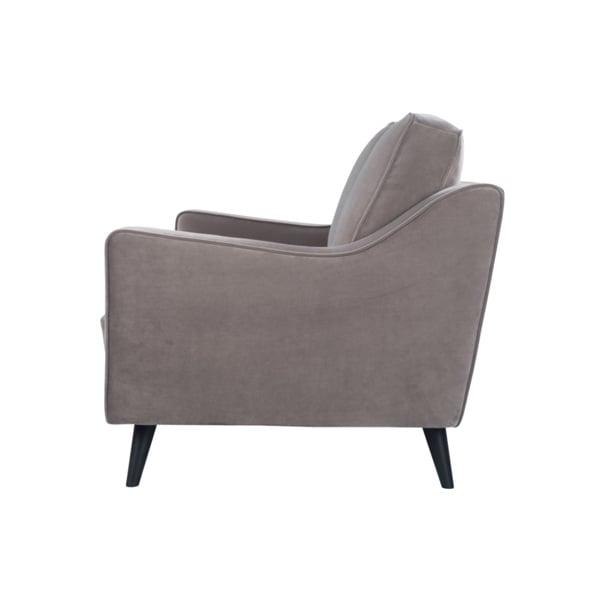 Daffy 2 Seat Sofa - Mink Velvet